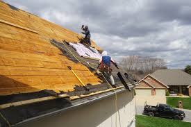 Best Roof Maintenance and Cleaning  in Bronson, FL